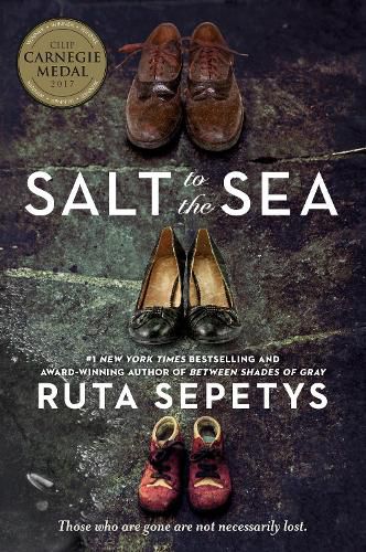 Cover image for Salt to the Sea