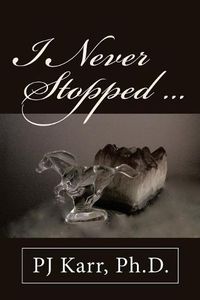 Cover image for I Never Stopped . . .