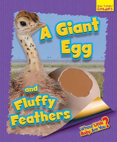 Whose Little Baby are You?: A Giant Egg and Fluffy Feathers