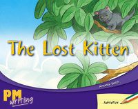 Cover image for The Lost Kitten