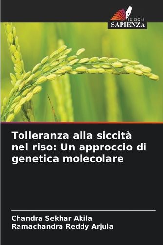 Cover image for Tolleranza alla siccita nel riso
