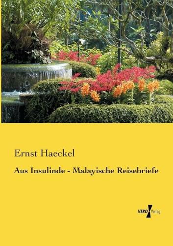 Cover image for Aus Insulinde - Malayische Reisebriefe