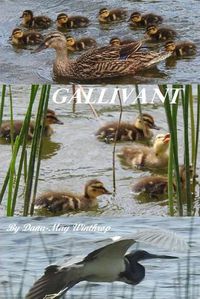 Cover image for Gallivant