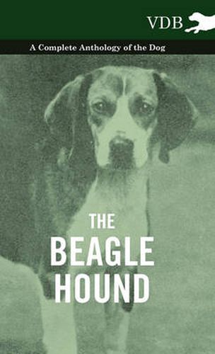 Cover image for The Beagle Hound - A Complete Anthology of the Dog -