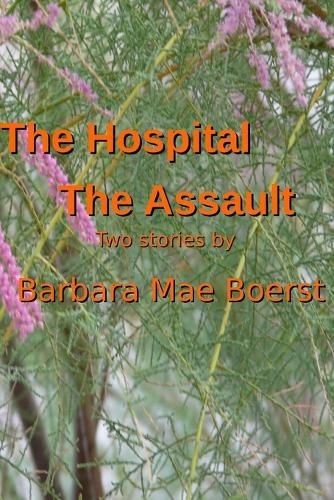 Cover image for Hospital & The Assault