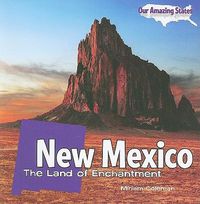 Cover image for New Mexico