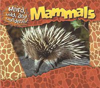 Cover image for Mammals