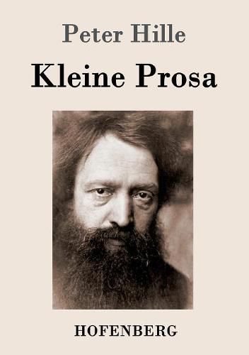 Cover image for Kleine Prosa