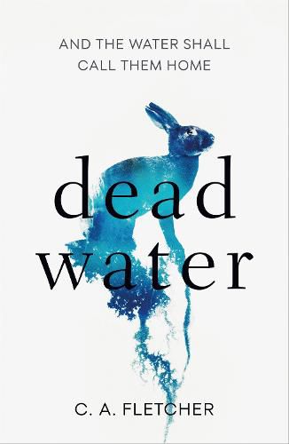 Cover image for Dead Water: A novel of folk horror