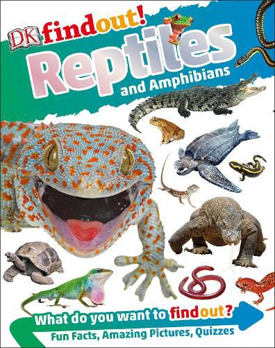 Cover image for DKfindout! Reptiles and Amphibians