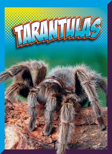 Cover image for Tarantulas
