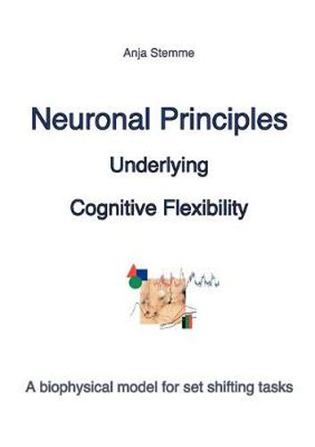 Cover image for Neuronal principles underlying cognitive flexibility: A biophysical model for set shifting tasks