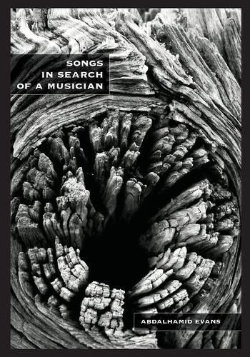 Cover image for Songs in Search of a Musician