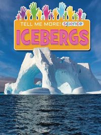 Cover image for Icebergs