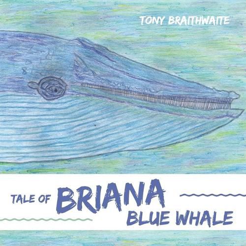 Cover image for Tale of Briana Blue Whale