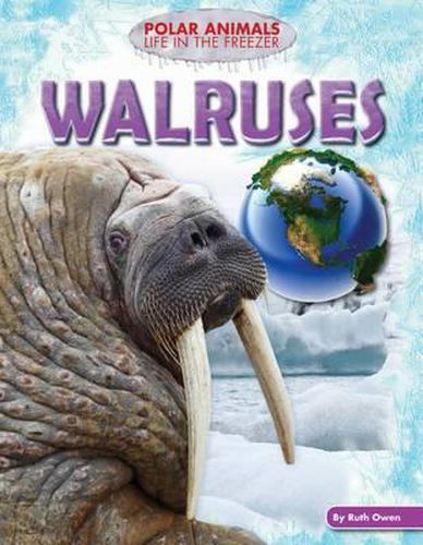 Cover image for Walruses