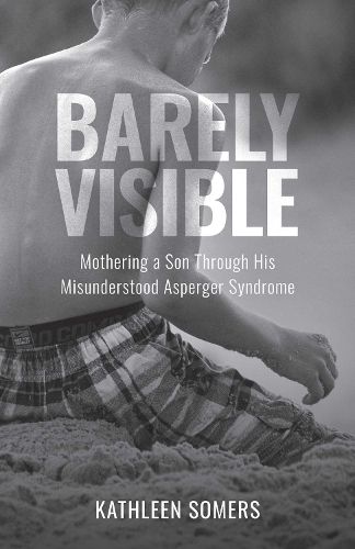 Cover image for Barely Visible