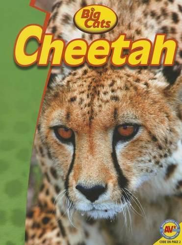 Cover image for Cheetah