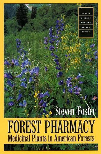 Cover image for Forest Pharmacy: Medicinal Plants in American Forests