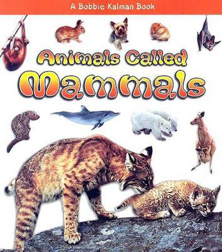 Cover image for Animals Called Mammals