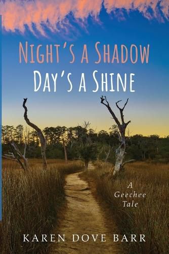 Cover image for Night's a Shadow; Day's a Shine