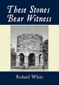 Cover image for These Stones Bear Witness