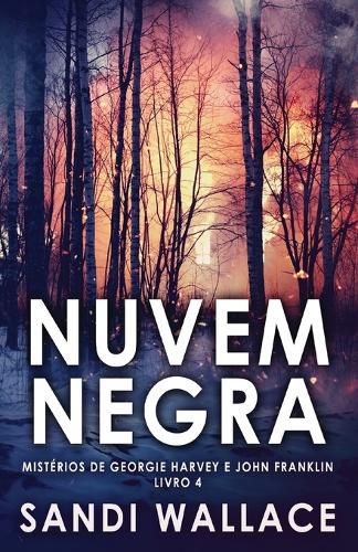 Cover image for Nuvem Negra