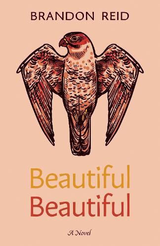 Cover image for Beautiful Beautiful