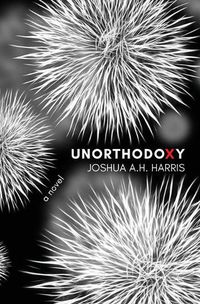 Cover image for Unorthodoxy