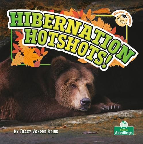 Cover image for Hibernation Hotshots!