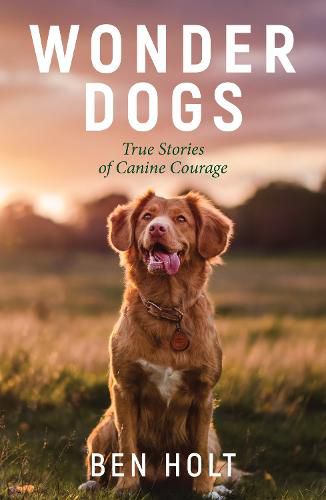 Cover image for Wonder Dogs: Inspirational True Stories of Real-Life Dog Heroes That Will Melt Your Heart