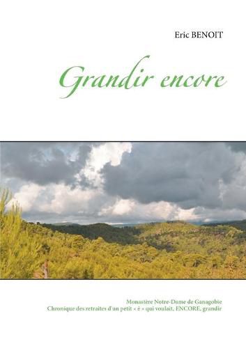 Cover image for Grandir encore