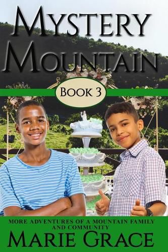 Cover image for Mystery Mountain, Book Three: More In The Adventures Of A Mountain Family and Community