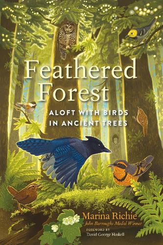 Cover image for Feathered Forest