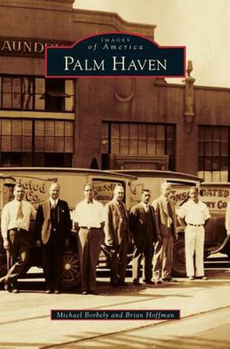 Cover image for Palm Haven