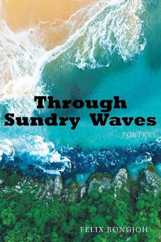 Cover image for Through Sundry Waves