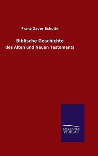 Cover image for Biblische Geschichte