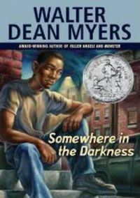 Cover image for Somewhere in the Darkness