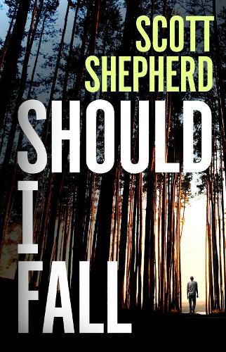 Cover image for Should I Fall