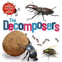 Cover image for The Insects that Run Our World: The Decomposers