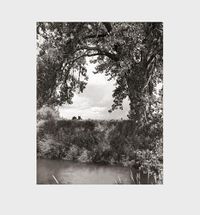 Cover image for Robert Adams: Cottonwoods
