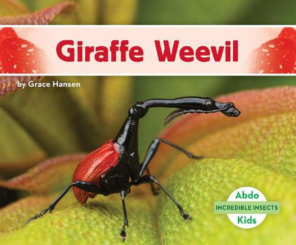 Cover image for Giraffe Weevil