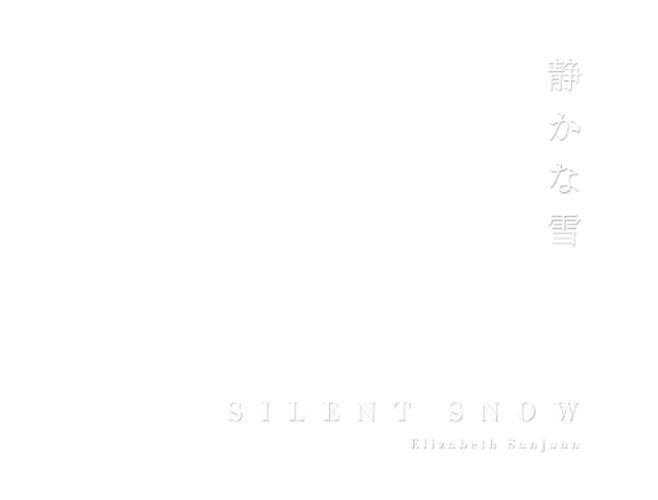 Silent Snow
