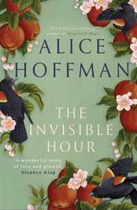 Cover image for The Invisible Hour