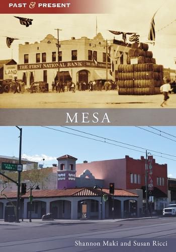 Cover image for Mesa