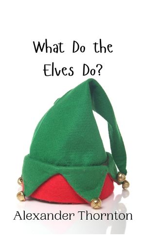 Cover image for What Do the Elves Do?