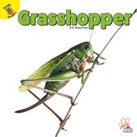 Cover image for Grasshopper