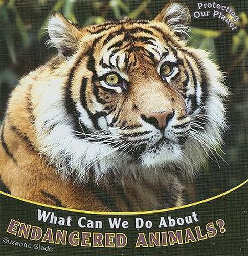 What Can We Do about Endangered Animals?