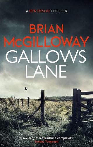 Gallows Lane: An ex con and drug violence collide in the borderlands of Ireland...