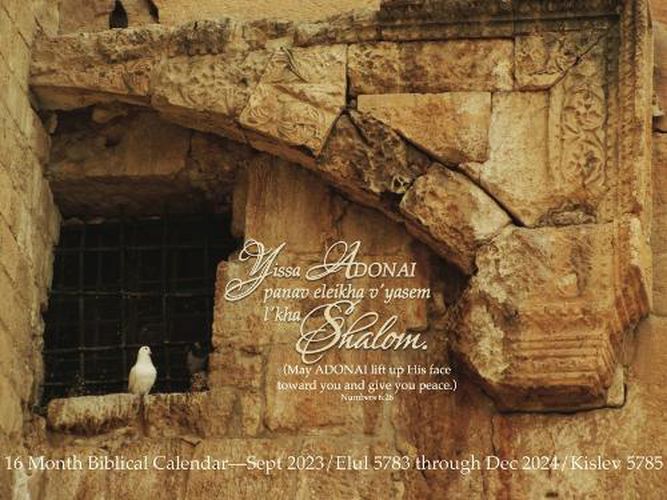 Cover image for Shalom Calendar